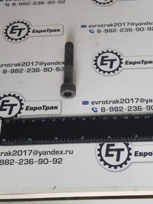 Болт S107-100604