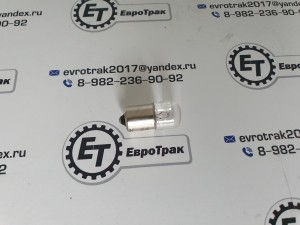 Лампа 24V 5W габариты задние/номерной знак и салон